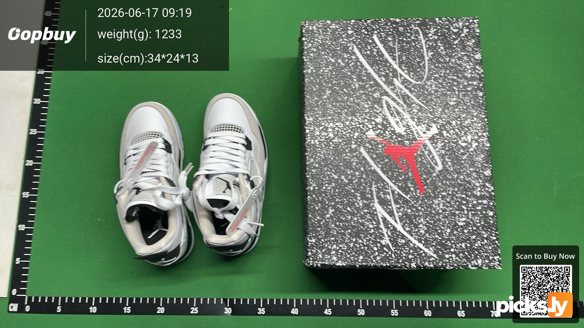 Jordan 4 – QC photo 4