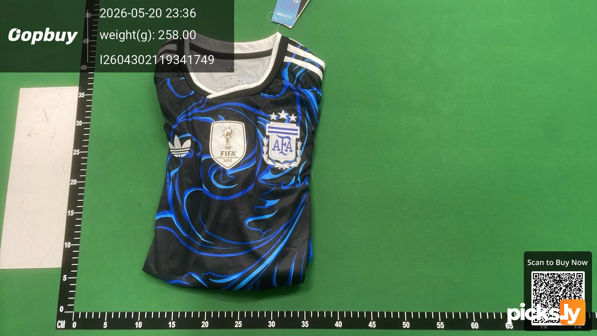 2026 FIFA World Cup Argentina away Long sleeve Fan version