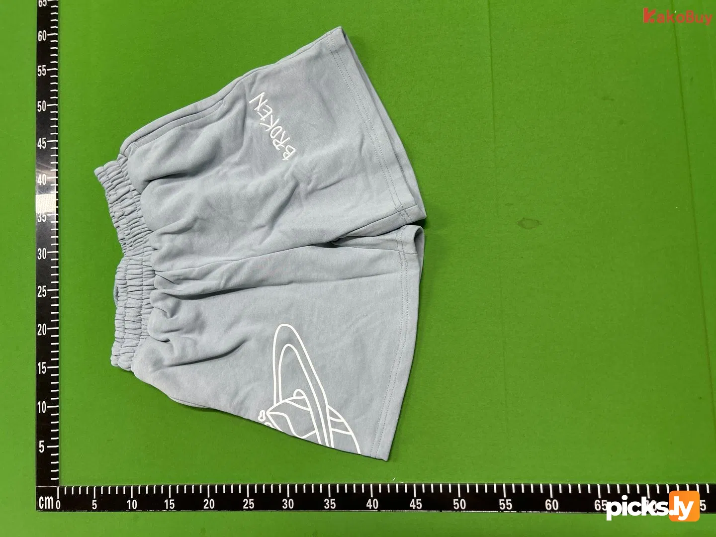 79 (BPM Shorts - Arctic)