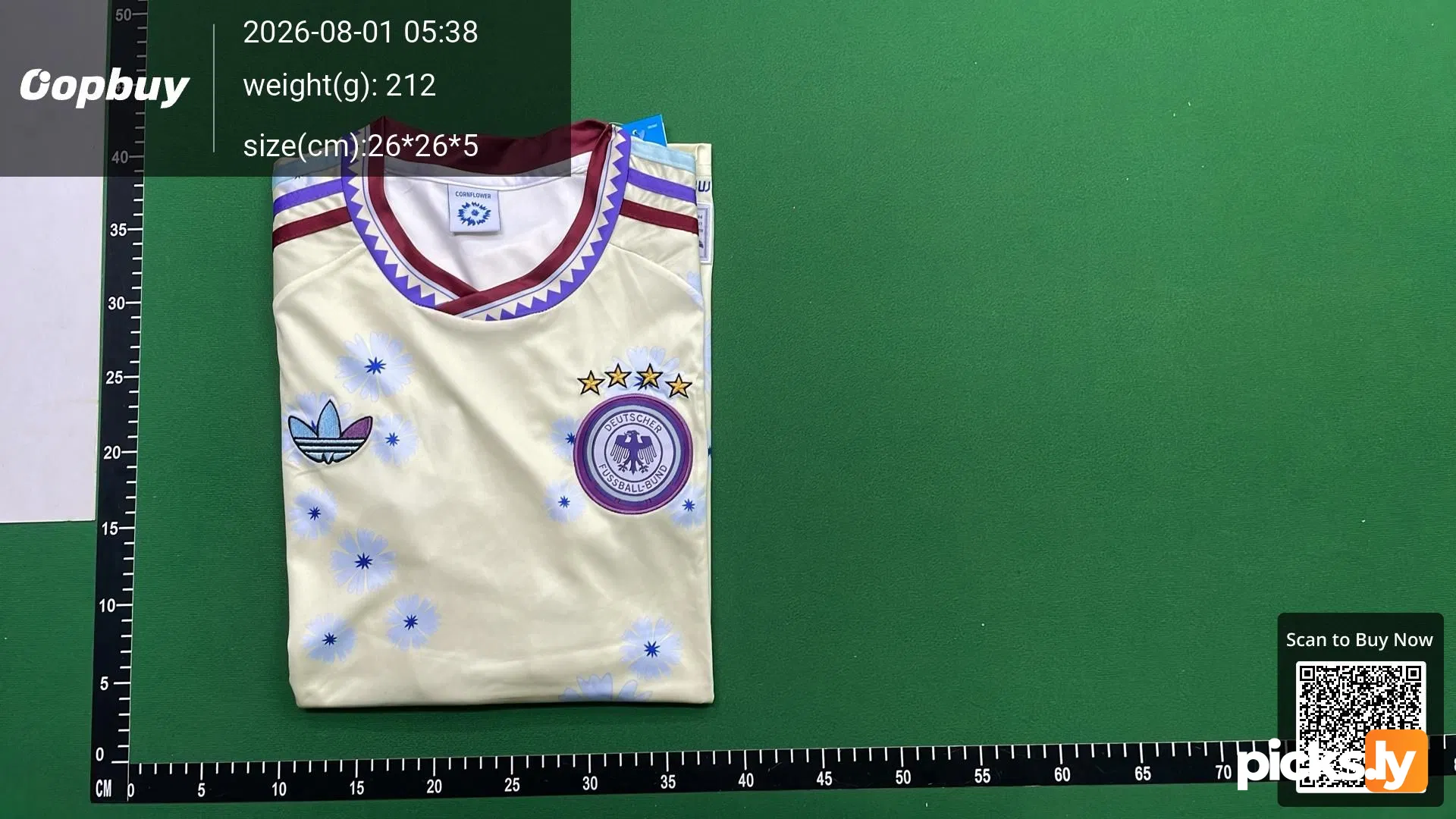 2026 FIFA World Cup Germany Concept version Fan version