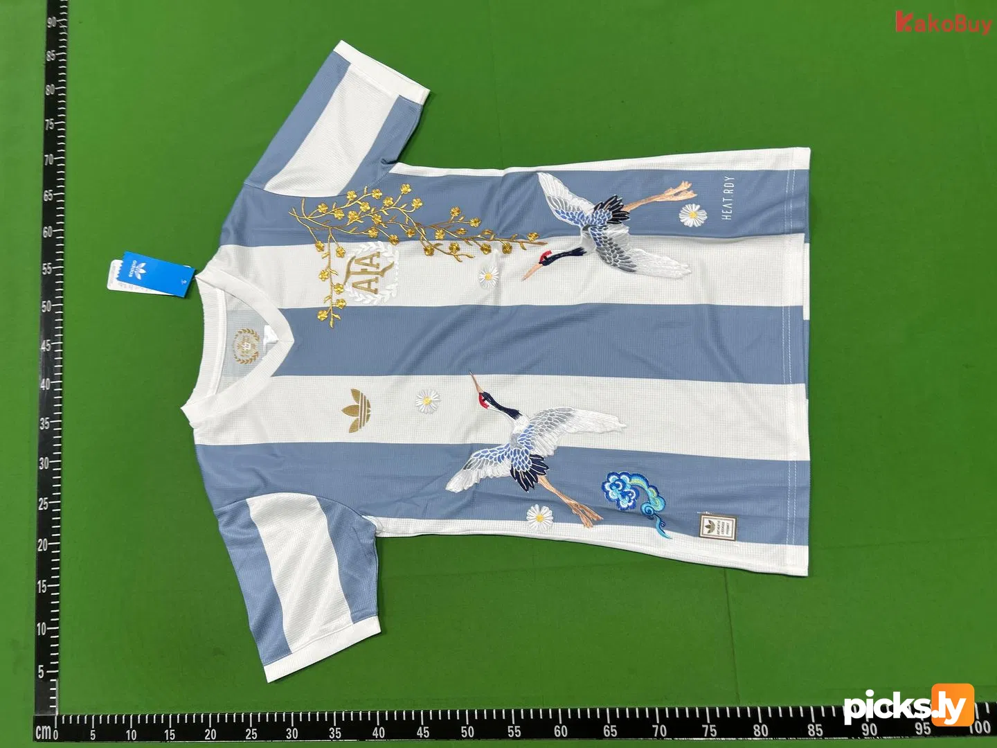 Argentina 50th anniversary embroidery Player version
